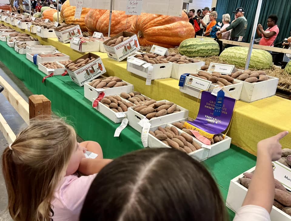 Learning at the State Fair