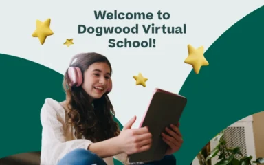 Welcome to DVS